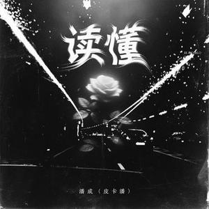 读懂 (DJ豪大大版)0.8x降调版