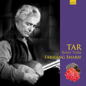 Bayat Tork (cont.), Jamehdaran, Dashti