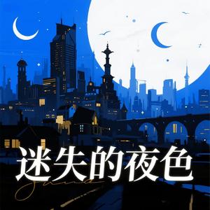迷失的夜色