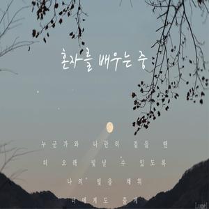 혼자를 배우는 중