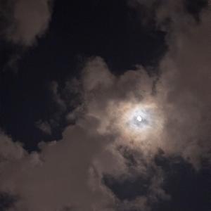 要不然我们就这样一万年