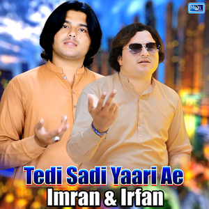 Tedi Sadi Yaari Ae