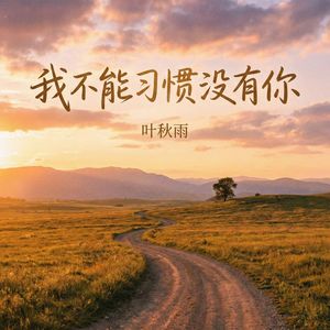 我不能习惯没有你