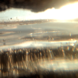 When Everything Sank