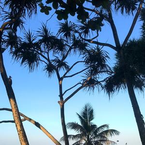 约 你 暑 假 飞 泰 国（Prod. by Fantom)