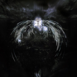 Les ailes de Hart Grilae