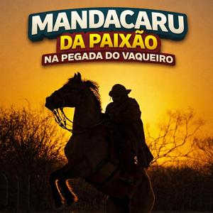 Desde que você chegou (arrocha do mandacaru). (Radio Edit)