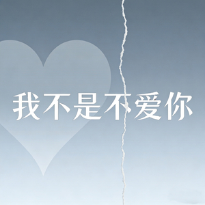 我不是不爱你