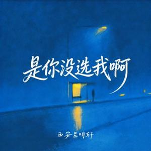 是你没选我啊