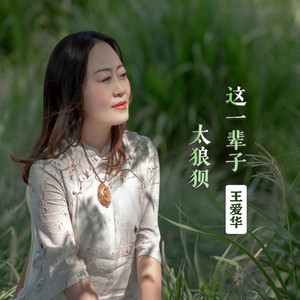 这一辈子太狼狈