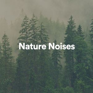 Nature Noises, Pt. 2