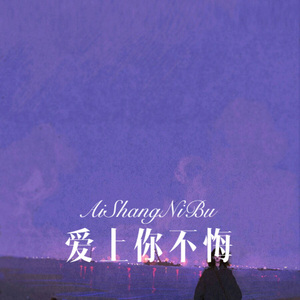 爱上你不悔 (Remix)