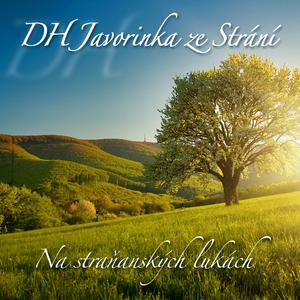 Nečekej šohajku