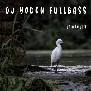 Dj Yodou Fullbass