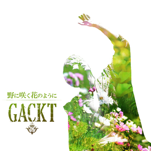 野に咲く花のように (feat. K) [LAST SONGS LIVE ver.]