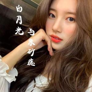 白月光与朱砂痣 伴奏