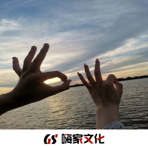 细节决定成败(DJ版)