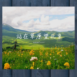 站在草原望北京