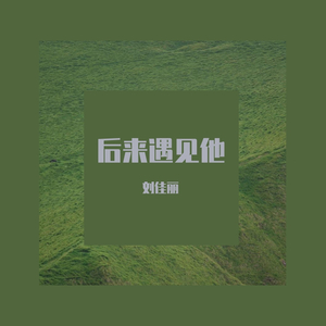 后来遇见他