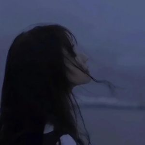 鸽子