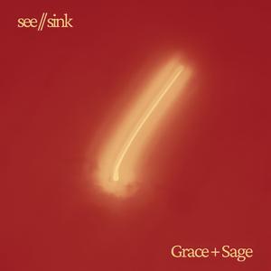 see//sink