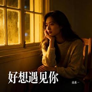 好想遇见你