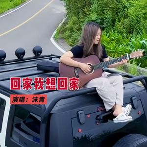 回家我想回家