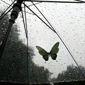 讨厌下雨天-雨幕回声