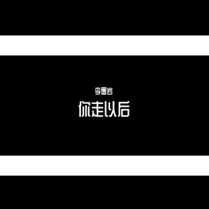 你走以后