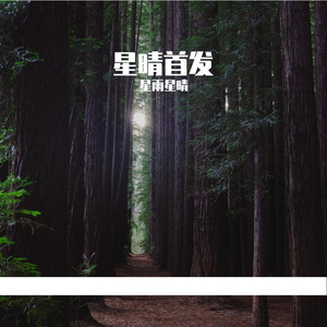 写给明天的信