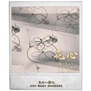 花心（翻自 张碧晨）