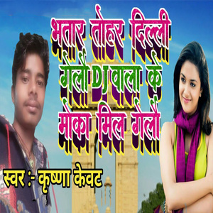 Bhatar Tohar Dilli Gelau dj Wala Ke Moka Mil Gelau