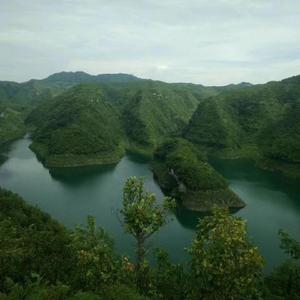 这一路走来越走越痛（感动版）