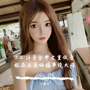 2021抖音全中文重低音极品上头嗨摇串烧大碟