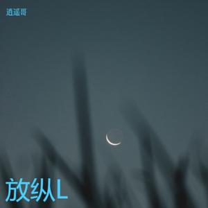 放纵L (DJ版)