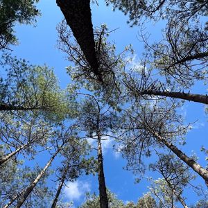 i wish you’re missing me