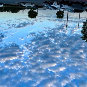 (My Sweet)Ganja Babe (feat. Michael Franti & Spearhead) (DispensaryMIX)