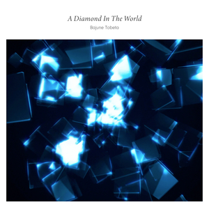 A Diamond In The World