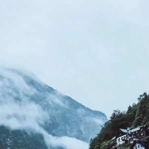 爱，安抚疯子的急救药