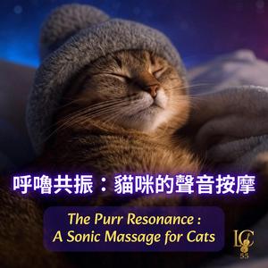 貓咪音樂：抗焦慮環境音 (Anti-Anxiety Ambient Sound)