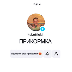 Прикормка