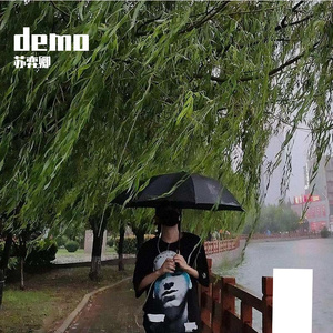 也许不会再去找你