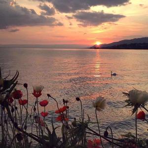 荒岛（翻自 谢春花）