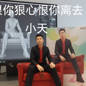 恨你狠心恨你离去