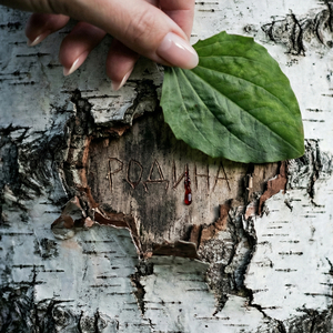 Поднимайся