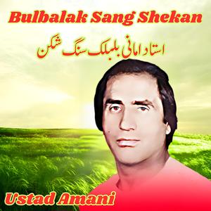 Bulbalak Sang Shekan