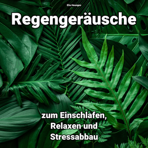 Liebenswerte Erinnerungen