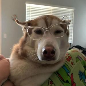 最后一次的温柔