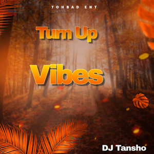 Turn Up Vibes