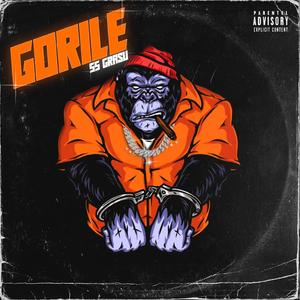 Gorile